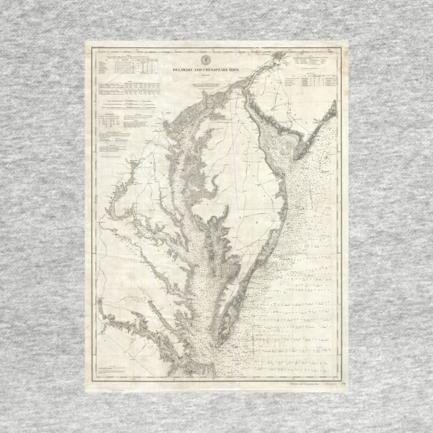 Vintage Map of The Chesapeake Bay (1893) by Bravuramedia